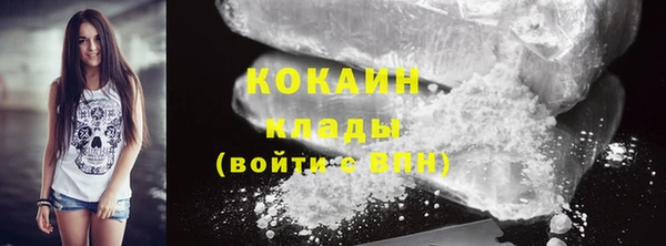 гидра Абаза