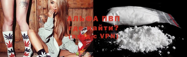 гидра Абаза