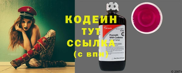 гидра Абаза