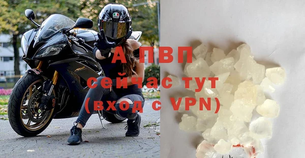 гидра Абаза