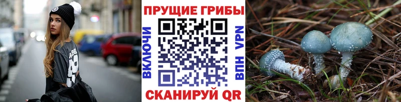 Галлюциногенные грибы мицелий  mega ТОР  Хадыженск  где купить наркоту 